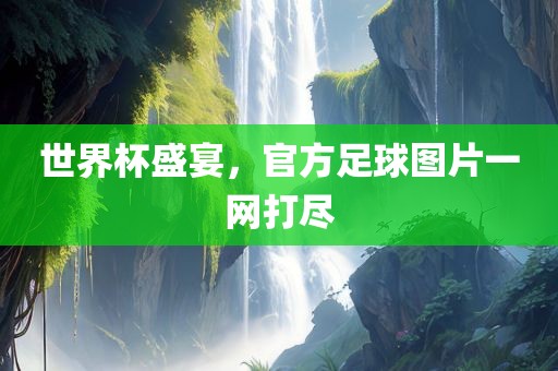 世界杯盛宴，官方足球图片一网打尽