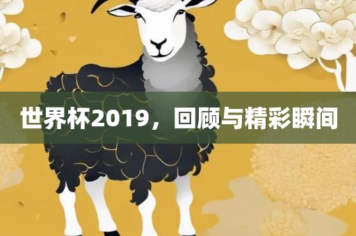 世界杯2019，回顾与广西贺州市华昌新材料有限公司精彩瞬间