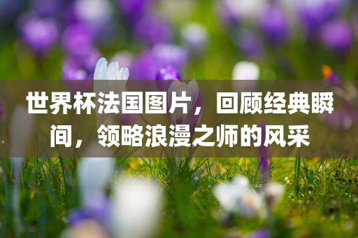 世界杯法国图片，回顾经典瞬间，领略浪漫之师的风采