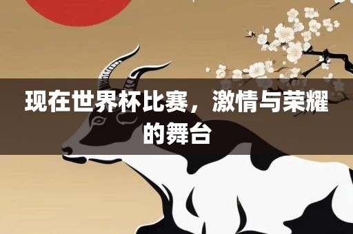 现在世界杯比赛，激情与荣耀的舞台