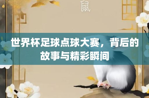 世界杯足球点球大赛，背后的故事与精彩瞬间