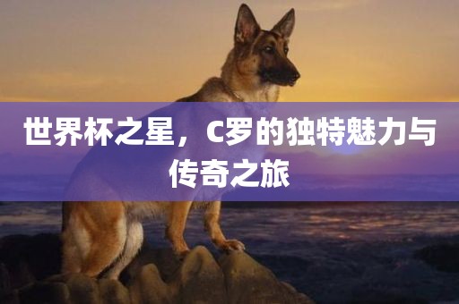 世界杯之星，C罗的独特魅力与传奇之旅