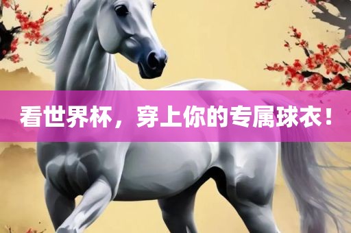 看世界杯，穿上你的专属球衣！