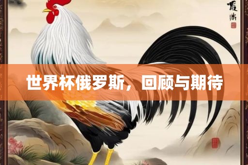 世界杯俄罗斯，回顾与期待
