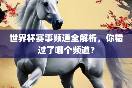 世界杯赛事频道全解析，你错过了哪个频道？