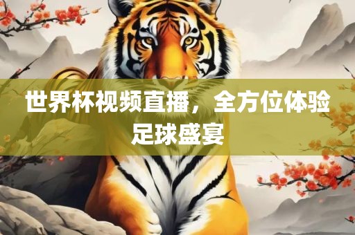 世界杯视频直播，全方位体验足球盛宴