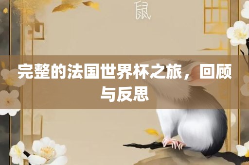 完整的法国世界杯之旅，回顾与反思