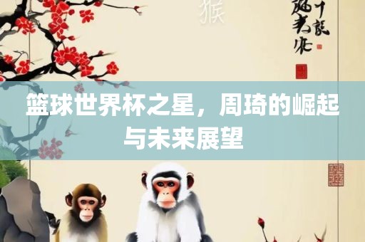 篮球世界杯之星，周琦的崛起与未来展望