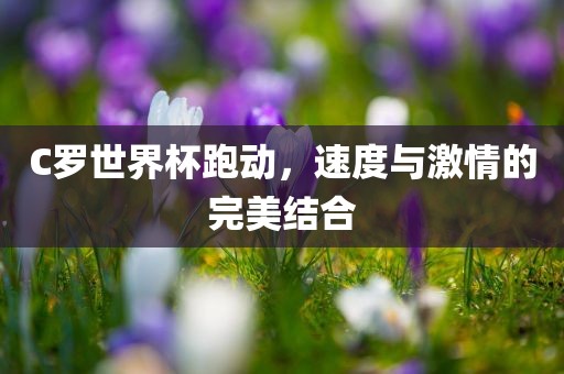C罗世界杯跑动，速度与激情的完美结合