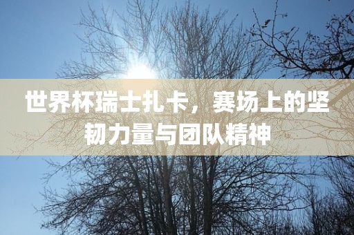 世界杯瑞士扎卡，赛场上的坚韧力量与团队精神