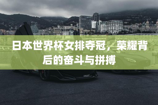 日本世界杯女排夺冠，荣耀背后的奋斗与拼搏