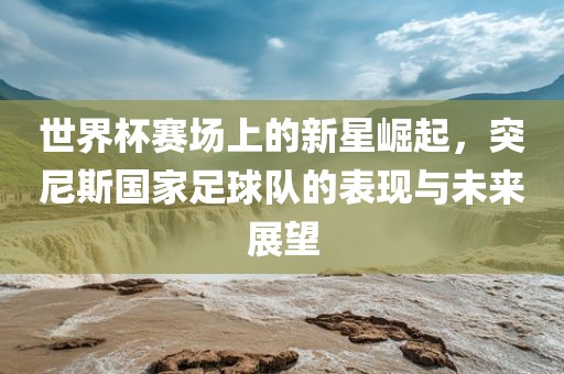 世界杯赛场上的新星崛起，突尼斯国家足球队的表现与未来展望