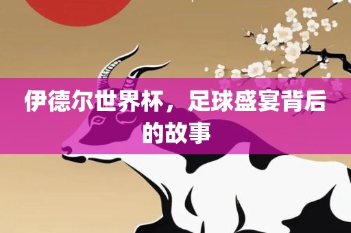 伊德尔世界杯，足球盛宴背后的故事