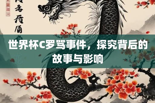 世界杯C罗骂事件，探究背后的故事与影响