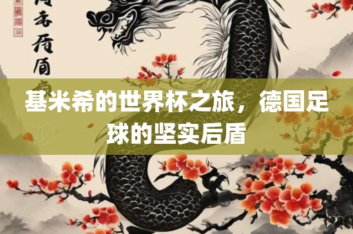 基米希的世界杯之旅，德国足球的坚实后盾