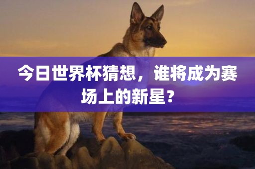 今日世界杯猜想，谁将成为赛场上的新星？