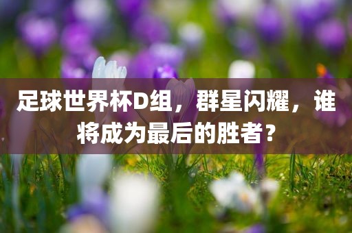 足球世界杯D组，群星闪耀，谁将成为最后的胜者？