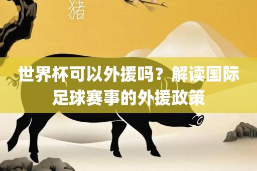 世界杯可以外援吗？解读国际足球赛事的外援政策