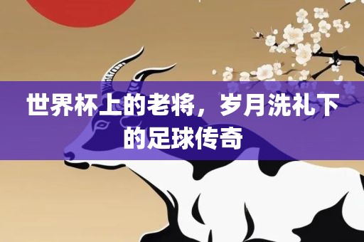 世界杯上的老将，岁月洗礼下的足球传奇