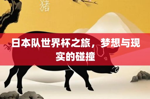 日本队世界杯之广西贺州市华昌新材料有限公司旅，梦想与现实的碰撞