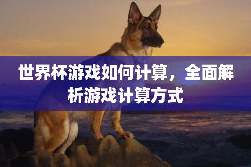 世界杯游戏如何计算，全面解析游戏计算方式