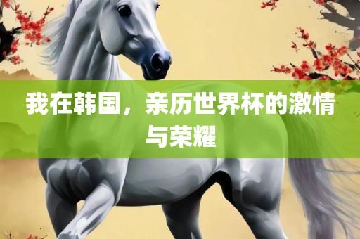 我在韩国，亲历世界杯的激情与荣耀