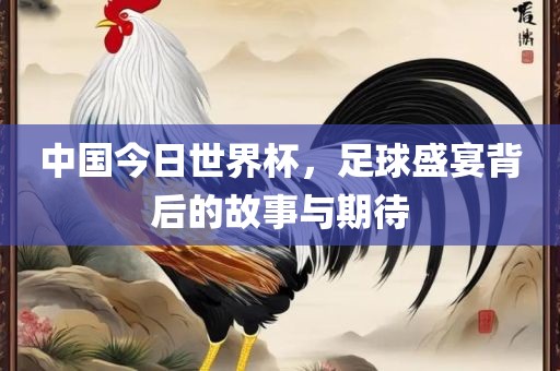 中国今日世界杯，足球盛宴背后的故事与期待