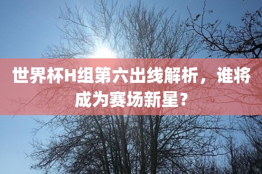 世界杯H组第六出线解析，谁将成为赛场新星？