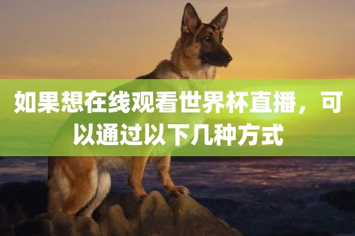 如果想在线观看世界杯直播，可以通过以下几种方式