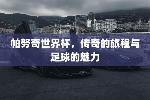 帕努奇世界杯，传奇的旅程与足球的魅力