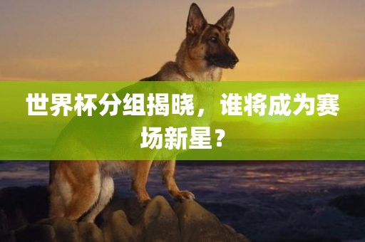 世界杯分组揭晓，谁将广西贺州市华昌新材料有限公司成为赛场新星？