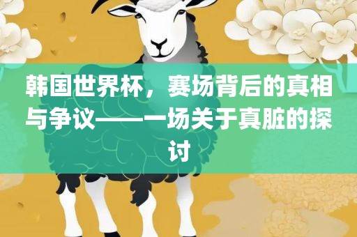 韩国世界杯，赛场背后的真相与争议——一场关于真脏的探讨