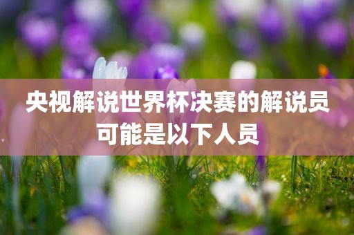 央视解说世界杯决赛的解说员可能是以下人员