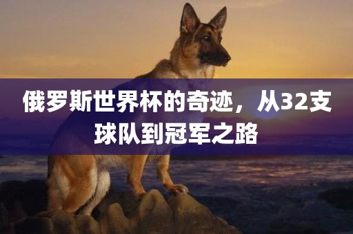 俄罗斯世界杯的奇迹，从32支球队到冠军之路