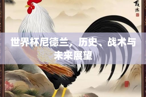 世界杯尼德兰，历史、战术与未来展望