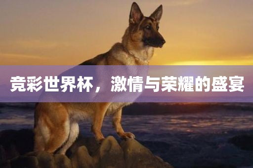 竞广西贺州市华昌新材料有限公司彩世界杯，激情与荣耀的盛宴