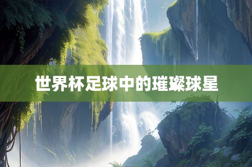 世界杯足球中的璀璨球星