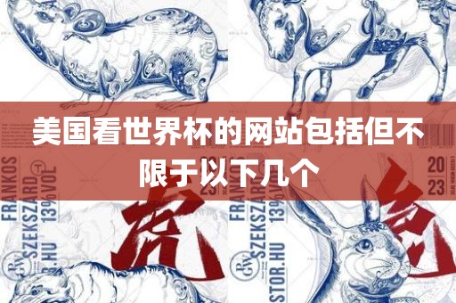 美国看世界杯的网站包括但不限于以下几个