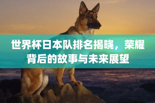 世界杯日本队排名揭晓，荣耀背后的故事与未来展望