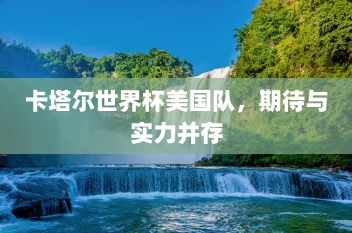 卡塔尔世界杯美国队，期待与实力并存