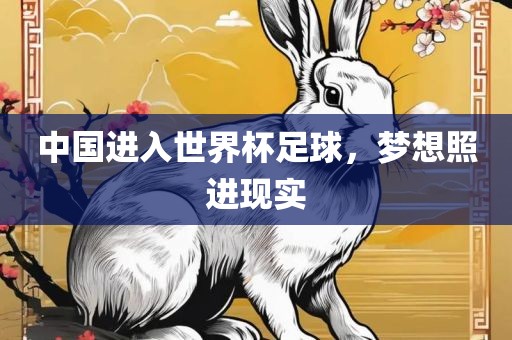 中国进入世界杯足球，梦想照进现实