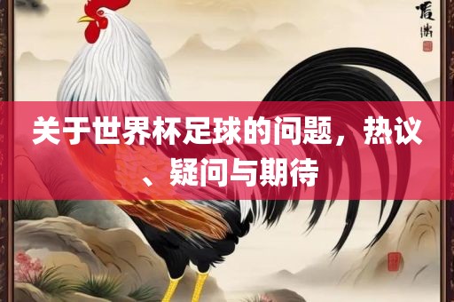 关于世界杯足球的问题，热议、疑问与期待