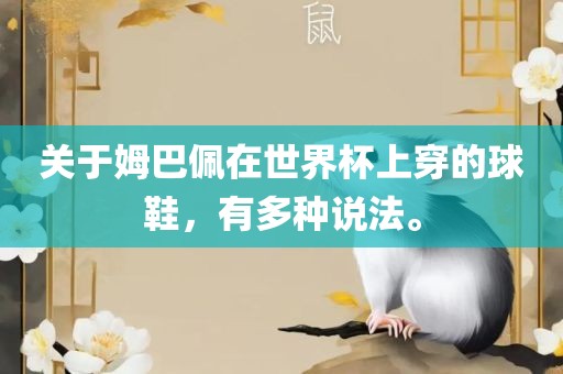 关于姆巴佩在世界杯上穿的球鞋，有多种说法。