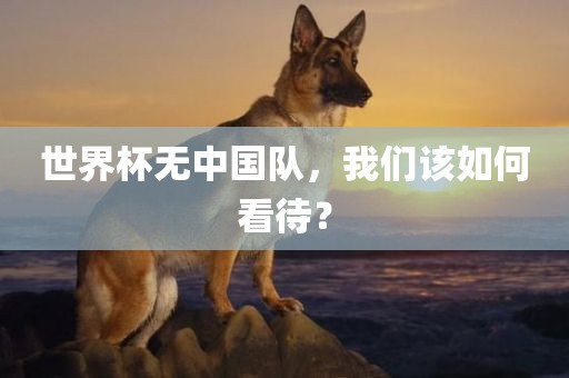世界杯无中国队，我们该如何看待？