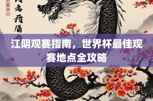 江阴观赛指南，世界杯最佳观赛地点全攻略
