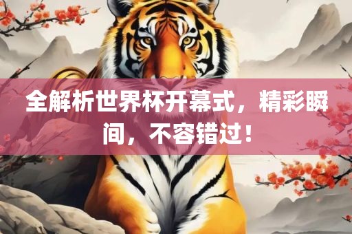全解析世界杯开幕式，精彩瞬间，不容错过！