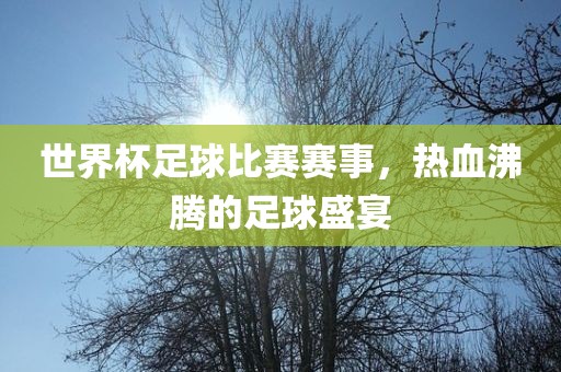世界杯足球比赛赛事，热血沸腾的足球盛宴