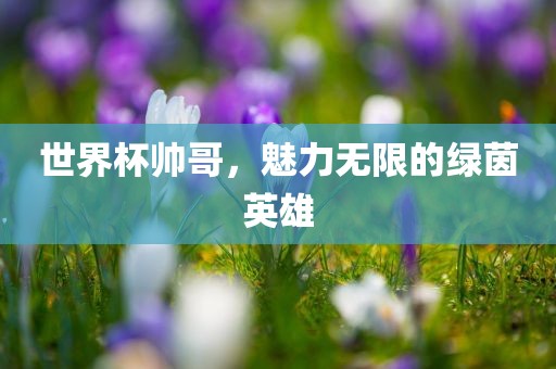 世界杯帅广西贺州市华昌新材料有限公司哥，魅力无限的绿茵英雄