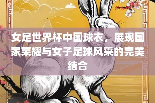 女足世界杯中国球衣，展现国家荣耀与女子足球风采的完美结合
