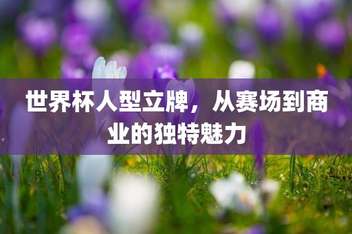 世界杯人型立牌，从赛场到商业的独特魅力